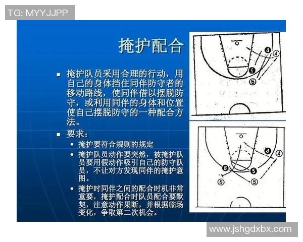 深圳排球队在总决赛中的耐力表现与战术分析全面解读
